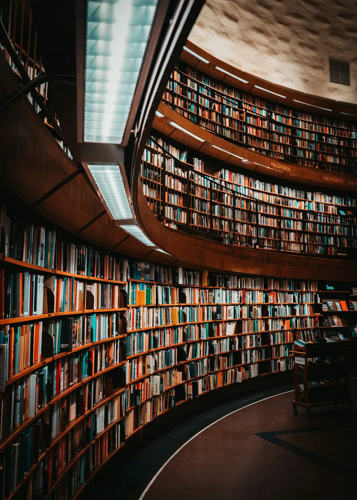 A curved library wall of bound volumes